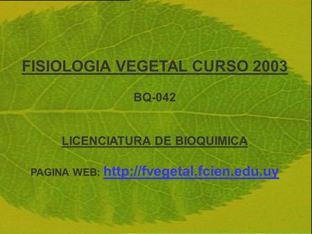 FISIOLOGIA VEGETAL CURSO 2003