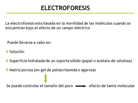 ELECTROFORESIS La electroforesis esta basada en la movilidad de las moléculas cuando se encuentran bajo el efecto de un campo eléctrico Puede llevarse.