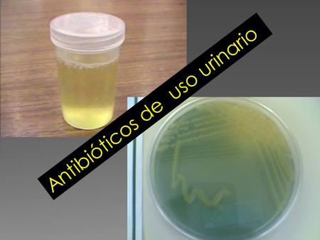 Antibióticos de  uso urinario