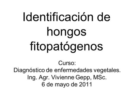 Identificación de hongos fitopatógenos
