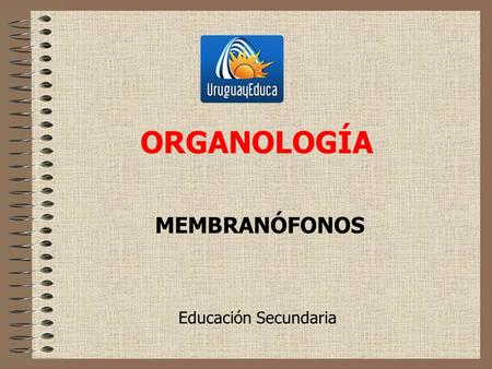 ORGANOLOGÍA MEMBRANÓFONOS Educación Secundaria.