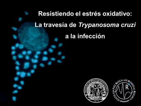 Resistiendo el estrés oxidativo: La travesía de Trypanosoma cruzi