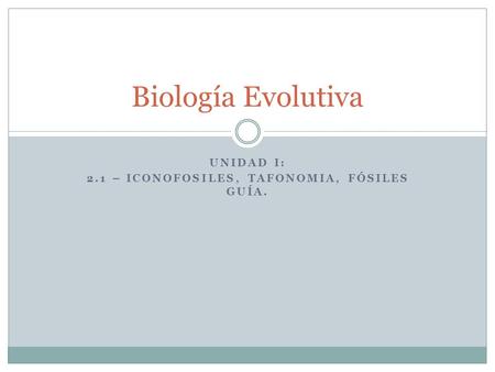 Unidad I: 2.1 – Iconofosiles, tafonomia, Fósiles guía.