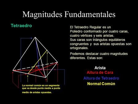 Magnitudes Fundamentales