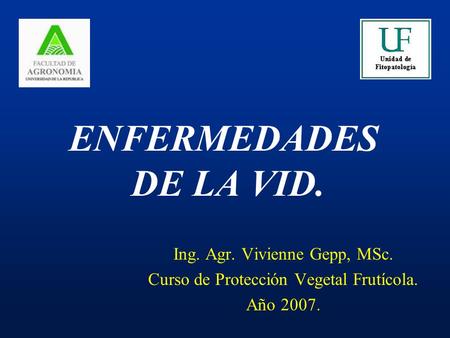 ENFERMEDADES DE LA VID. Ing. Agr. Vivienne Gepp, MSc.