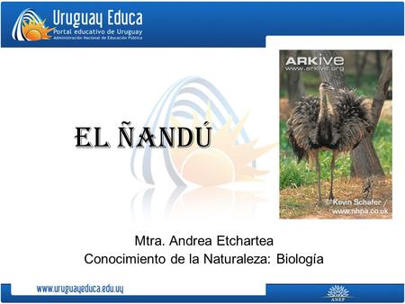Mtra. Andrea Etchartea Conocimiento de la Naturaleza: Biología