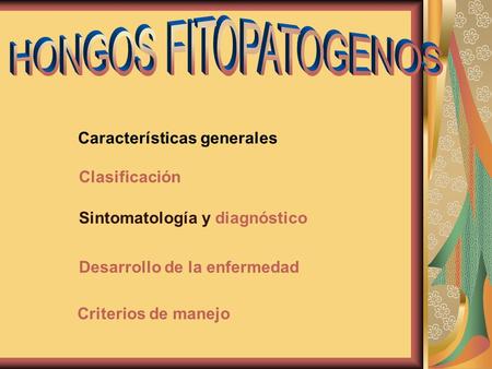HONGOS FITOPATOGENOS Características generales Clasificación