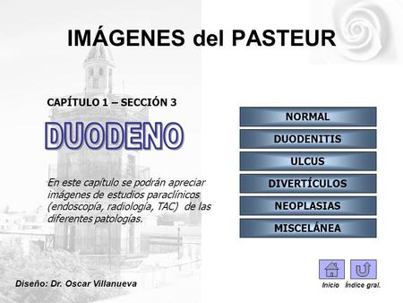 IMÁGENES del PASTEUR DUODENO CAPÍTULO 1 – SECCIÓN 3 NORMAL DUODENITIS