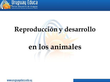 Reproducción y desarrollo en los animales