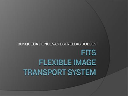 fits flexible image transport system