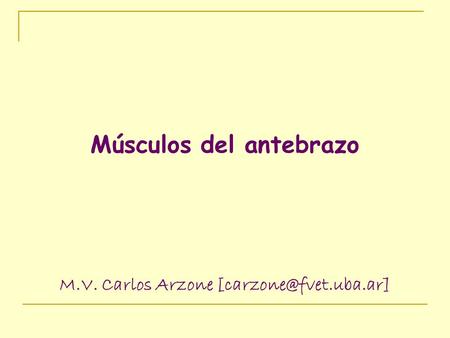 Músculos del antebrazo