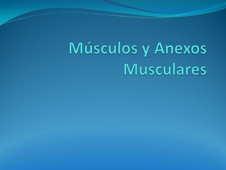 Músculos y Anexos Musculares