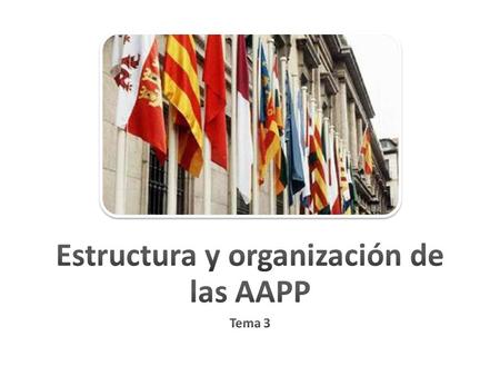 Estructura y organización de las AAPP