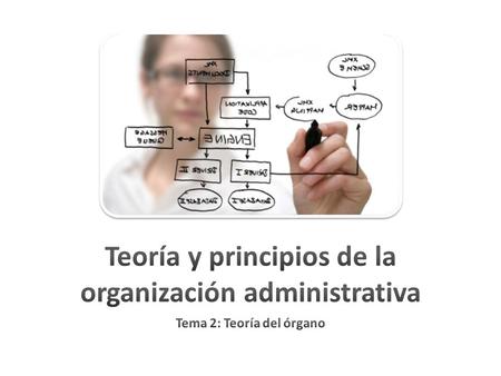 Teoría y principios de la organización administrativa