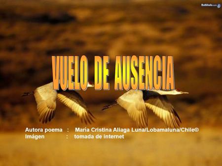 Autora poema : María Cristina Aliaga Luna/Lobamaluna/Chile© Imágen : tomada de internet.