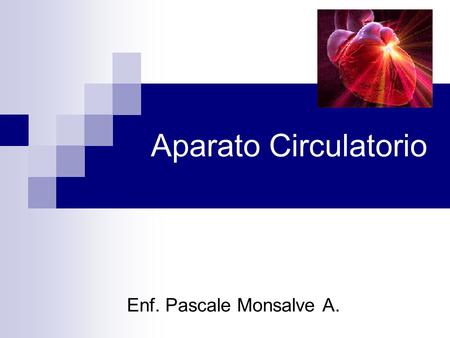Aparato Circulatorio Enf. Pascale Monsalve A..