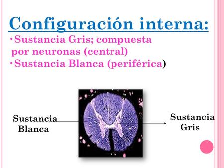 Configuración interna: