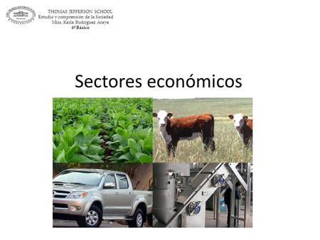 Sectores económicos THOMAS JEFFERSON SCHOOL