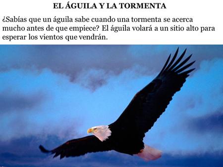 EL ÁGUILA Y LA TORMENTA ¿Sabías que un águila sabe cuando una tormenta se acerca mucho antes de que empiece? El águila volará a un sitio alto para esperar.