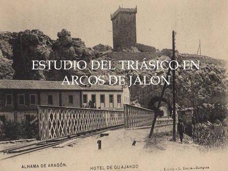 ESTUDIO DEL TRIÁSICO EN ARCOS DE JALÓN
