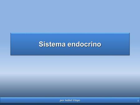 Sistema endocrino por Isabel Etayo.