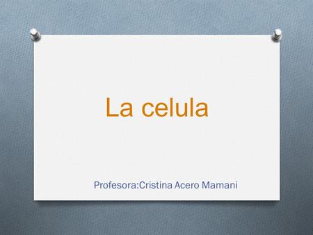 Profesora:Cristina Acero Mamani