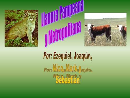 Llanura Pampeana y Metropolitana Por: Ezequiel, Joaquin, Nico, Mark y