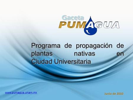 GacetaGaceta Junio de 2010 www.pumagua.unam.mx Programa de propagación de plantas nativas en Ciudad Universitaria.