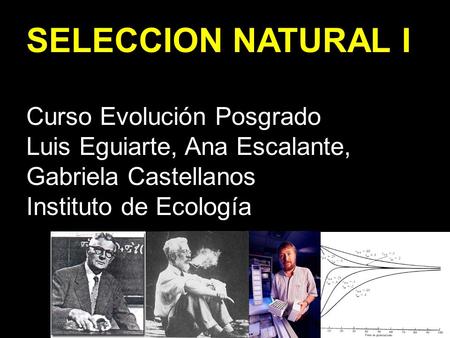 SELECCION NATURAL I Curso Evolución Posgrado