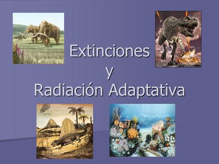 Extinciones y Radiación Adaptativa