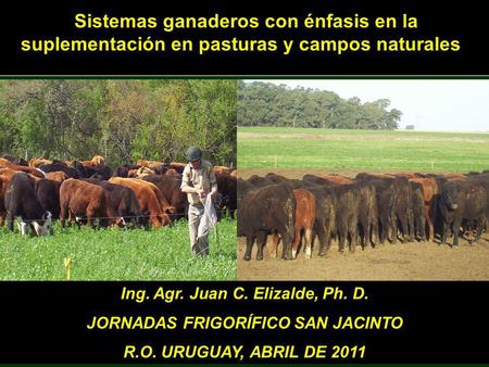 Ing. Agr. Juan C. Elizalde, Ph. D. JORNADAS FRIGORÍFICO SAN JACINTO