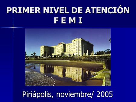PRIMER NIVEL DE ATENCIÓN F E M I Piriápolis, noviembre/ 2005.