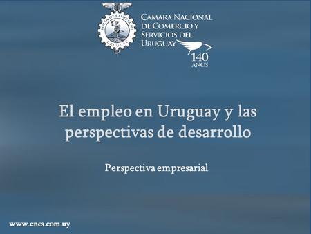El empleo en Uruguay y las perspectivas de desarrollo www.cncs.com.uy Perspectiva empresarial.