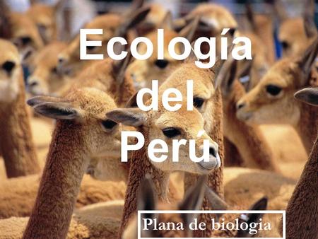Ecología del Perú Plana de biologia.