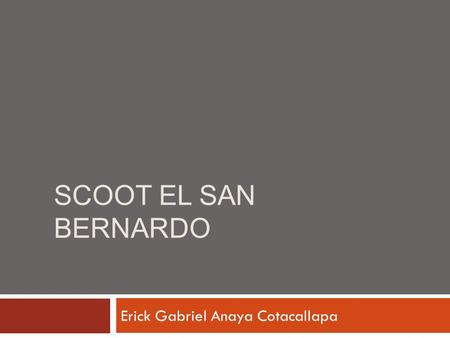SCOOT EL SAN BERNARDO Erick Gabriel Anaya Cotacallapa.
