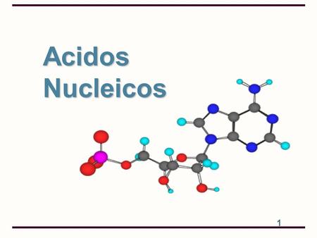Acidos Nucleicos.