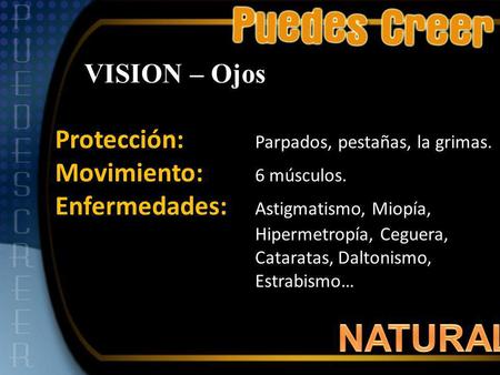 NATURAL VISION – Ojos Protección: Parpados, pestañas, la grimas.