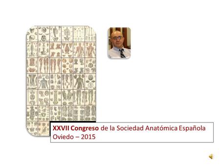 XXVII Congreso de la Sociedad Anatómica Española