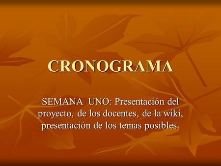 CRONOGRAMA SEMANA UNO: Presentación del proyecto, de los docentes, de la wiki, presentación de los temas posibles.
