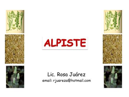 ALPISTE Lic. Rosa Juárez