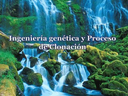 Ingeniería genética y Proceso de Clonación