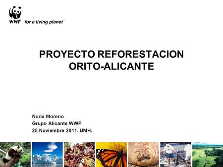 PROYECTO REFORESTACION ORITO-ALICANTE