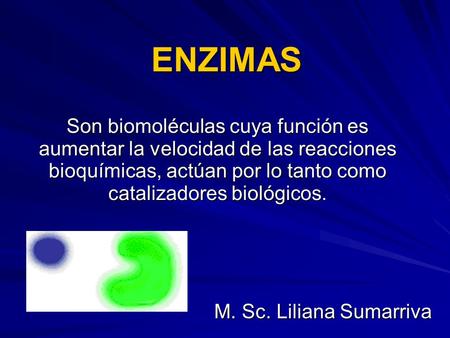 ENZIMAS Son biomoléculas cuya función es aumentar la velocidad de las reacciones bioquímicas, actúan por lo tanto como catalizadores biológicos. M.