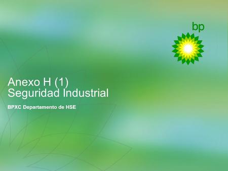 Anexo H (1) Seguridad Industrial