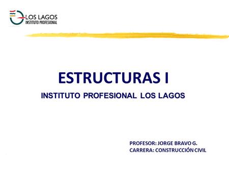 INSTITUTO PROFESIONAL LOS LAGOS