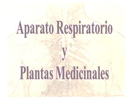 Aparato Respiratorio y Plantas Medicinales.