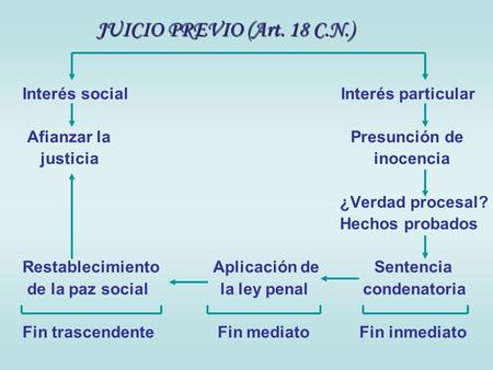 JUICIO PREVIO (Art. 18 C.N.) Interés social Interés particular