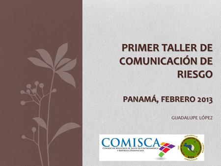 PRIMER TALLER DE COMUNICACIÓN DE RIESGO PANAMÁ, FEBRERO 2013 GUADALUPE LÓPEZ.