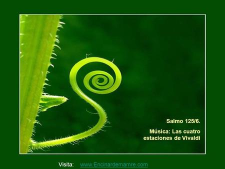 Salmo 125/6. Música: Las cuatro estaciones de Vivaldi Visita: www.Encinardemamre.com.