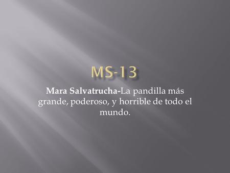 MS-13 Mara Salvatrucha-La pandilla más grande, poderoso, y horrible de todo el mundo.